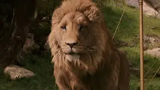 The Chronicles of Narnia: Aslan Sounds