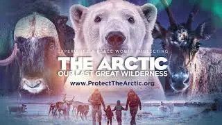 The Arctic: Our Last Great Wilderness | Official Trailer