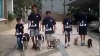 Dog Training video on kids handling dogs