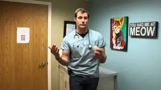 Dr. Eric Ruhland from St. Paul Pet Hosptial on Feline Resorptive Lesions