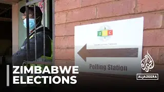 Zimbabwe election: Vote count under way after delays