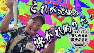 【鮎釣り】【24】 何処でもゼロテン効果！