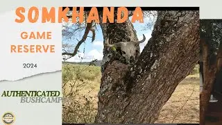 Somkhanda Wild Camping