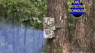 Leaf River Promo 2