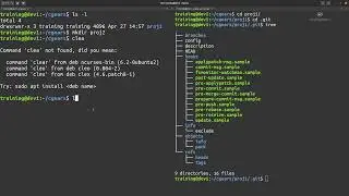 Git Essentials - git init and .git folder