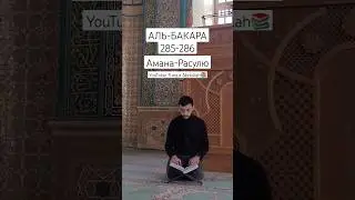 🕌Амана-Расулю (АЛЬ-БАКАРА 285-286) Aманар расулу @turqut.alisov #shorts Alışov Turqut #коран