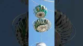 A spin of luck.幸運迴轉。 #hknature #taio #beercanart #ビール缶芸術 #맥주캔아트 #lartdelacanette #大澳 #啤酒罐藝術 #香港大自然