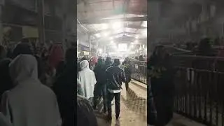 12/01/2026 khatu shyam ji 