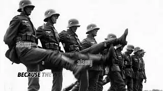 Steel And Shadow A Soldiers WWII Journey 🪖👍