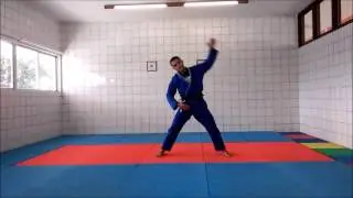 EXERC&Iacute;CIOS EM CASA 8 Alongamentos din&acirc;micos