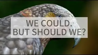 We could, but should we? Invasive species control on islands from a sociological perspective