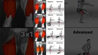 Leg Workouts for ALL Levels: Beginner to Advanced  #workout #excercise #workoutbenefits #movewell