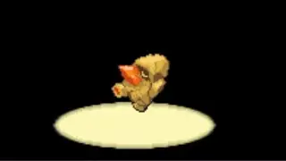 Live Shiny Nosepass After 7,685 Eggs Hatched!