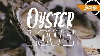 Oyster Love: The Marriage of Oysters and Beer