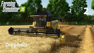 УБОРКА ТРИТИКАЛЕ И СБОР ТРАВЫ | DIEPHOLZ #3 | FS25