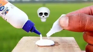 Fevikwik और Fevicol को मिलाने पर क्या होता है? | Shoking Glue Experiment | Science Explained 
