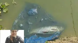 টিকিট কেটে মাছ ধরার প্রতিযোগিতায় অংশ নিতে প্রতিটি ছিপের জন্য ২৫০০/৳ দিতে হয়েছে। কিন্তু...