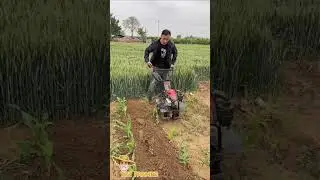 Great agricultural machine