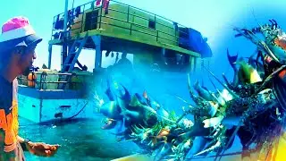 This what a good catch looks like (epic) must watch #deapsea #boat #spearfishing