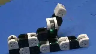 MTRAN3 Modular Robot