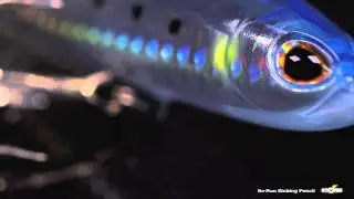 So-Run Sinking Pencil