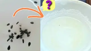 Filtration and Evaporation | Separation Techniques | Separating Mixtures | Science Lab Activity