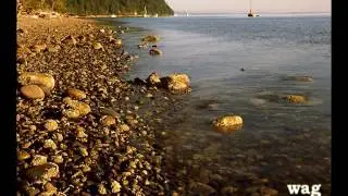 Port Susan