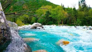 🔴 Live River Sounds 24/7 🌊 | Relaxing Nature Ambience for Sleep, Study & Meditation