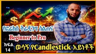 የፎሬክስ ትሬዲንግ ስልጠና | ክፍል 14 ወሳኝ የCandlestick አይነቶች | Candlestick Patterns| Forex Trading for Beginners