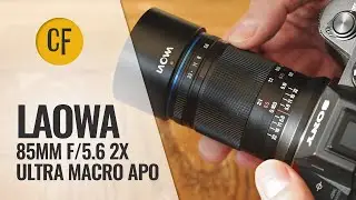 Laowa 85mm f/5.6 2x Ultra Macro APO lens review with samples
