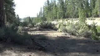 Редкий утренний улов! (Мой любимый поезд Grainer!)