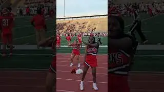 Alief Taylor Lions! ##cheerleading #cheershe8 #cheerteam #stompnshake #cheerfun #cheerlife #like