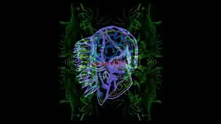 All Them Witches - 