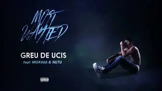 YNY Sebi ⓧ @MGK666 ⓧ @nutu8973 - Greu de Ucis 🎧 Audio