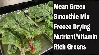 Mean Green Smoothie Mix!  Detailed Instructions for Freeze Drying Nutrient Rich Greens.