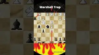 Marshall Trap 😱😱
