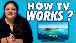 How TV Works  LED, LCD, PLASMA & CRT TV | The Technology Behind Your Favorite Shows Explained