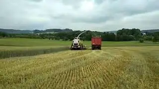 DVPM Slav&iacute;kov Žito 2018