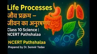 🔬 Life Processes | जैव प्रक्रम – जीवन का अनुरक्षण | Class 10 Science NCERT | NCERT Pathshalaa |
