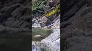 water stream in the middle of rocks #foresthikes #waterstream #lushgreen #rocks