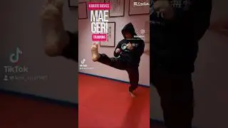 MAE GERI / KARATE FRONT KICK #karate #kick #shotokan #kihon @teamtokaido