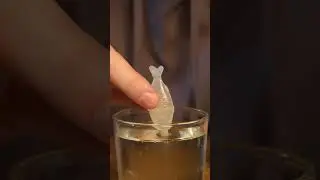 making a miniature terrarium in a soy sauce bottle