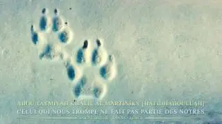 Dammaj - Yémen