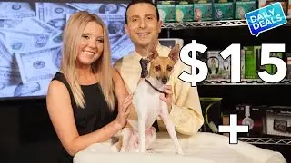 Best Pet Bed, Deals For Dogs, Nylabone Sale ► The Deal Guy