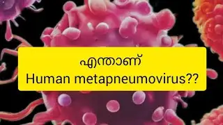 @Dr.D&Vkathavlogs #3.എന്താണ്#humanmetapneumovirus#youtubevideo#trending #hmpvoutbreak#doctorstalk
