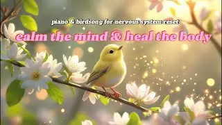 calm the mind & heal the body | piano & birdsong for nervous system reset