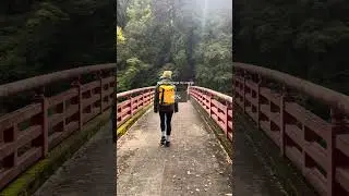 RECHARGE, I need Nature #busy #recharge #energy #Japan #tokyo #travel #nature #walking