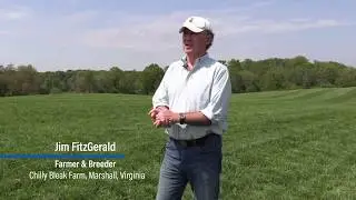 Jim FitzGerald - Horse Jobs are Real Jobs