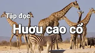 Huơu cao cổ - Tiếng Việt 2 | #coverbytmn 