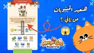 هل لعبة Merge Cat فيها إعادة ولادة؟ 😱 الحقيقة الكاملة | طريقة الوصول للمستوى 60 💪